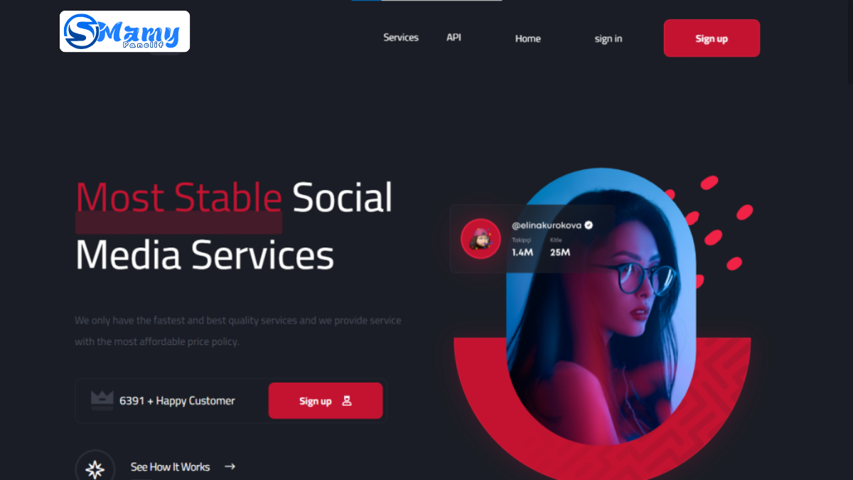 Max Panel - SMM Panel Script